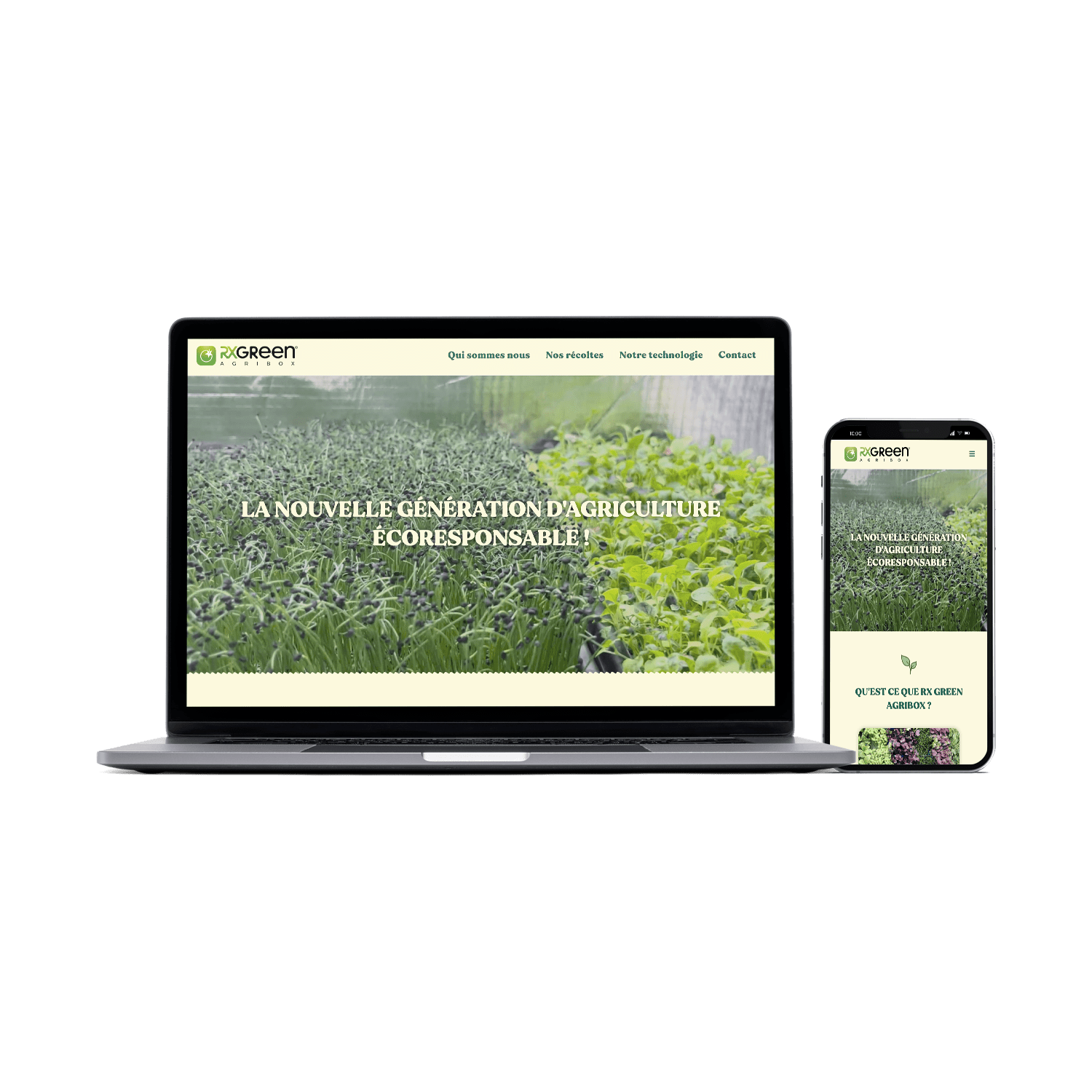 Site Agribox RX